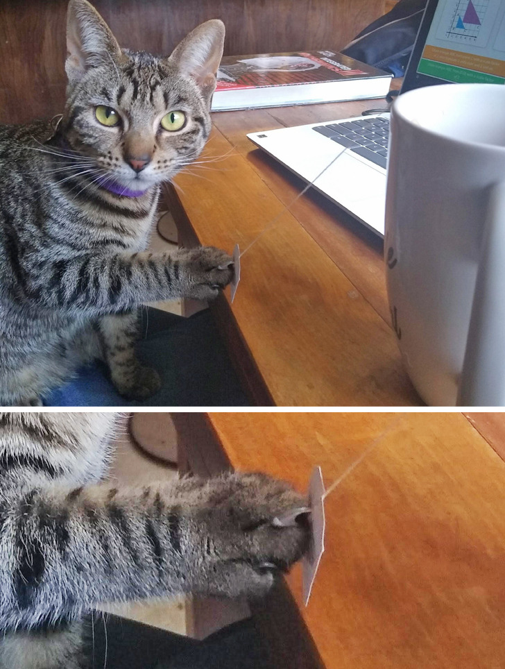 86ff0a5829a580685d1f6eff4e