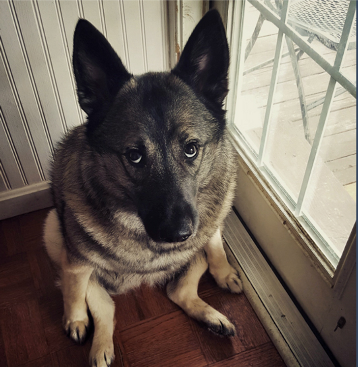 87007053d9abed00bf90b7ba1b