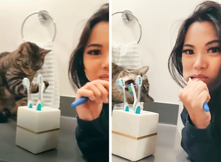 87013e5496b1d9118a14d12ed0