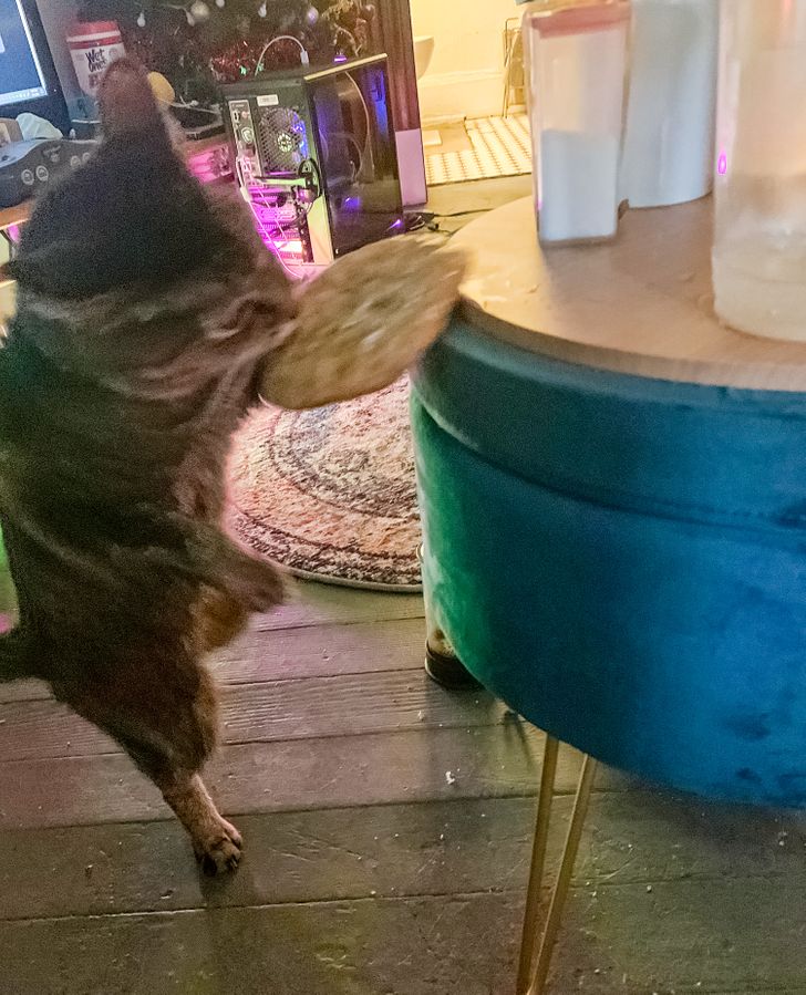 8702ec5c7fa57944f86475055f