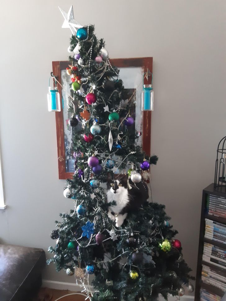 8711775c72b6e6b92605aa3a88