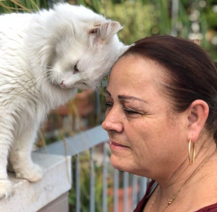 871fa05c49a69a77b4afedcd33