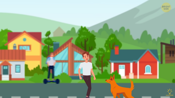 87213354f1b20800315f719f36