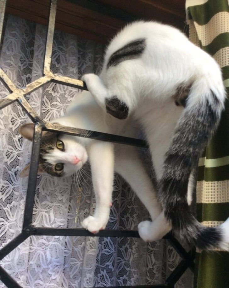 87221755f49c0425a41a3b6b3e