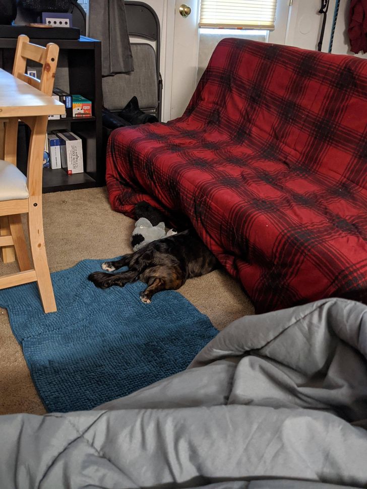 872ead53fdb7a4e5a6a20096d2