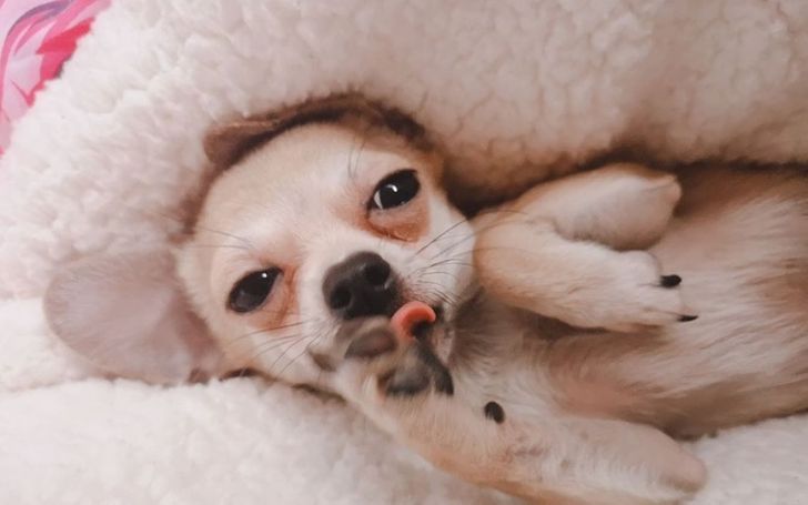 8733f8501c901faea233249446