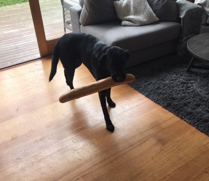 87390b5e3cbb7ad5c7b054da04