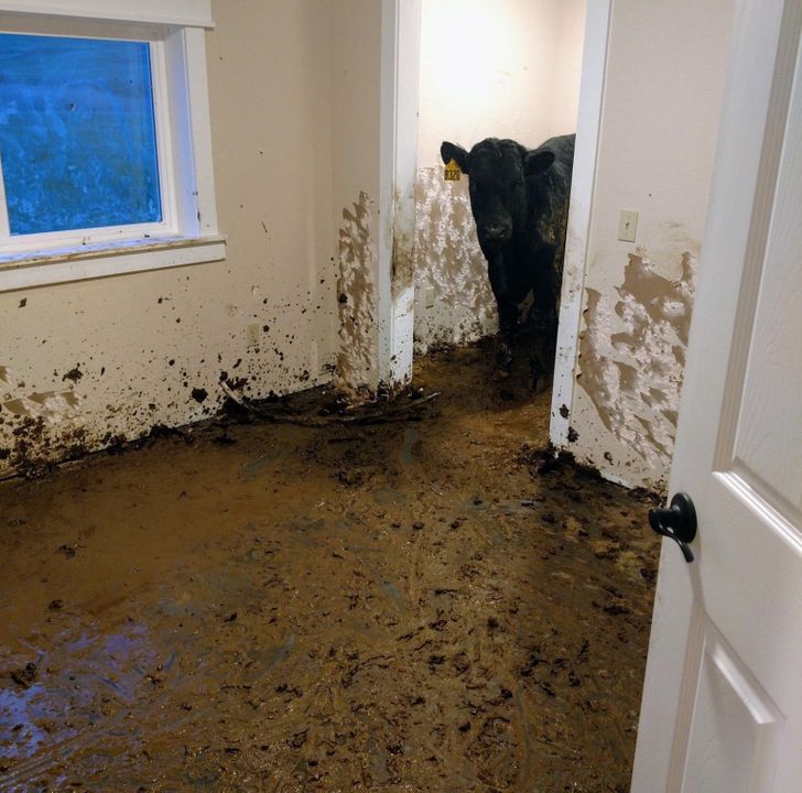 873df95d468aefe448e12a7e16