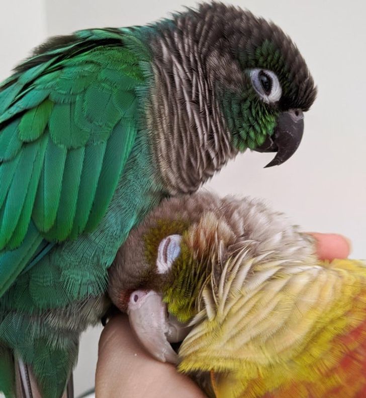 8748f15b6eb0165583ee3e0b4d