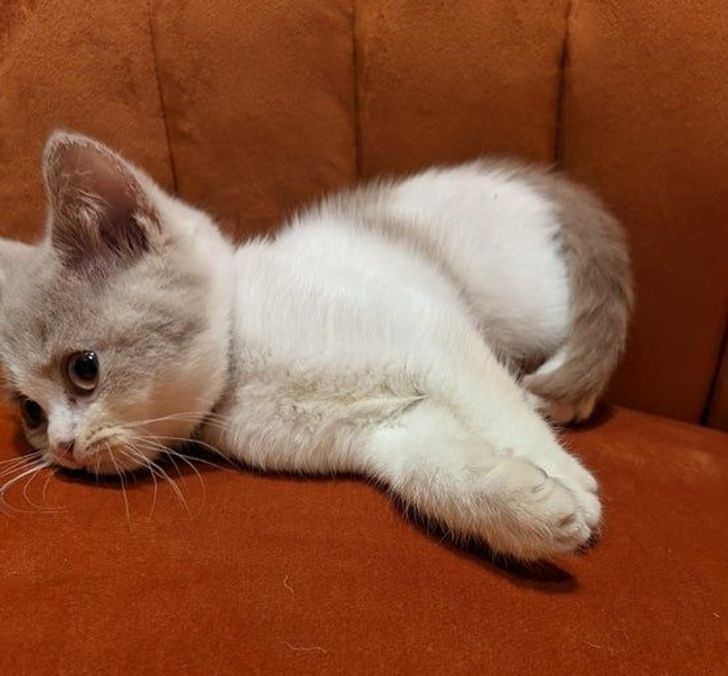 87529f5a0f8e7b26fc838f0336