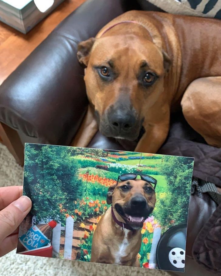 875ca35dd4970d4734dc9e9821