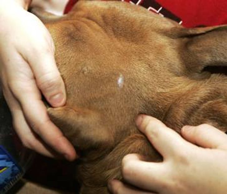 875f835e36a107087e503a7285