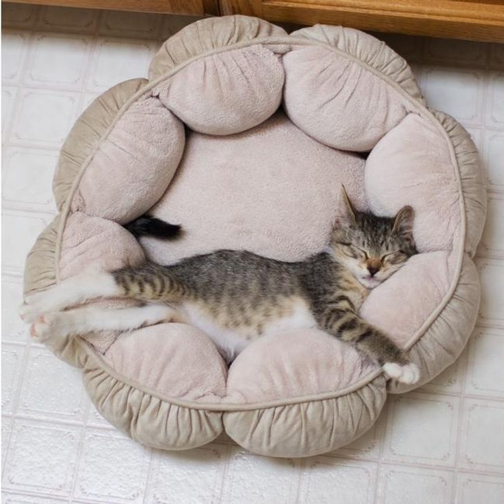 876c715f5881431cc5aa52f433