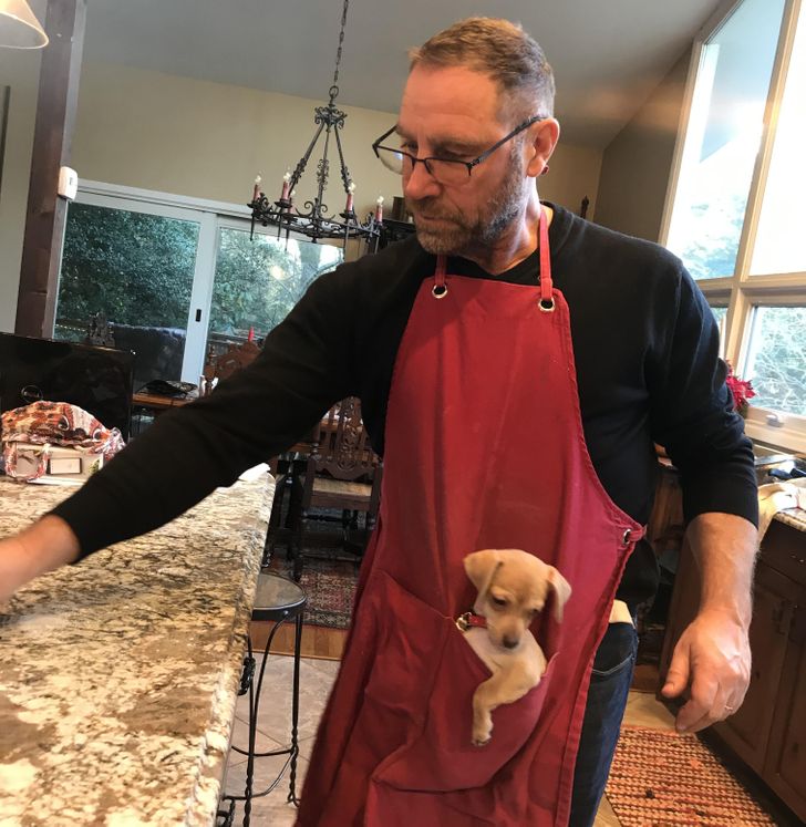 876da257f6b0edc46787bc7e05