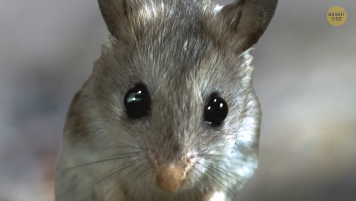 877ff7516897d33eceef94d7ce