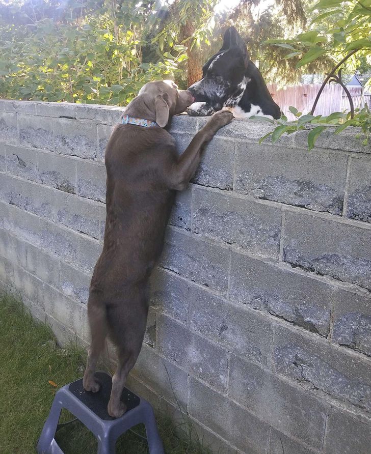 8782e65be6a47686ebdd7d0a66