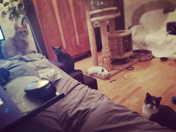 878bf854f8b029f6ad635a6170