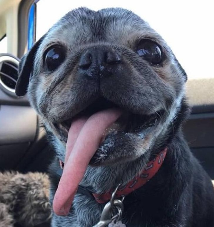 878c4e5ddb8eb2fa831e8afeb6