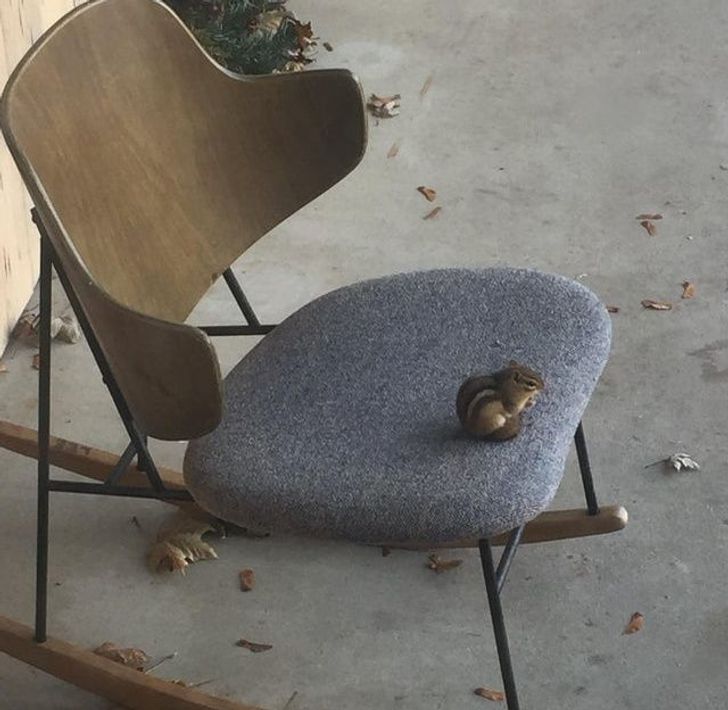 878dee5cc2b218bb7760c9e5bd