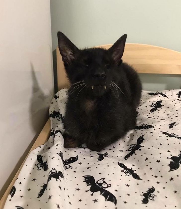 87996c502fb4809f469b30b5a2 87996c502fb4809f469b30b5a2