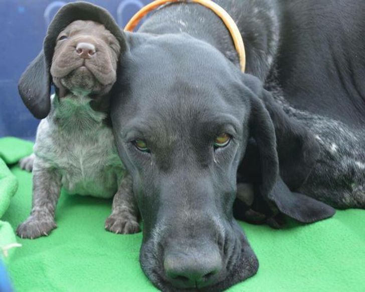 879a1f5df08fc5c24a5897109b