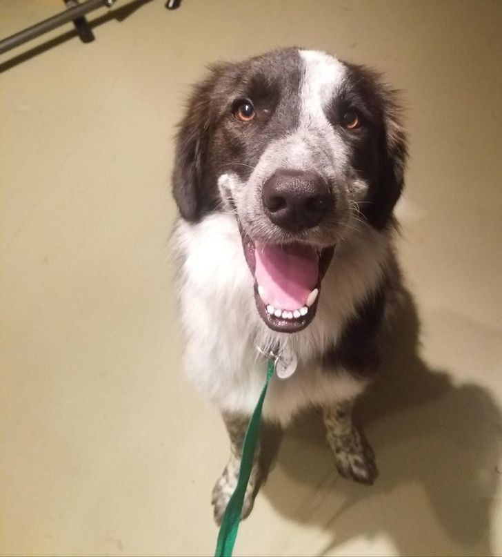 879fe759d8b63e1d256b6af61b