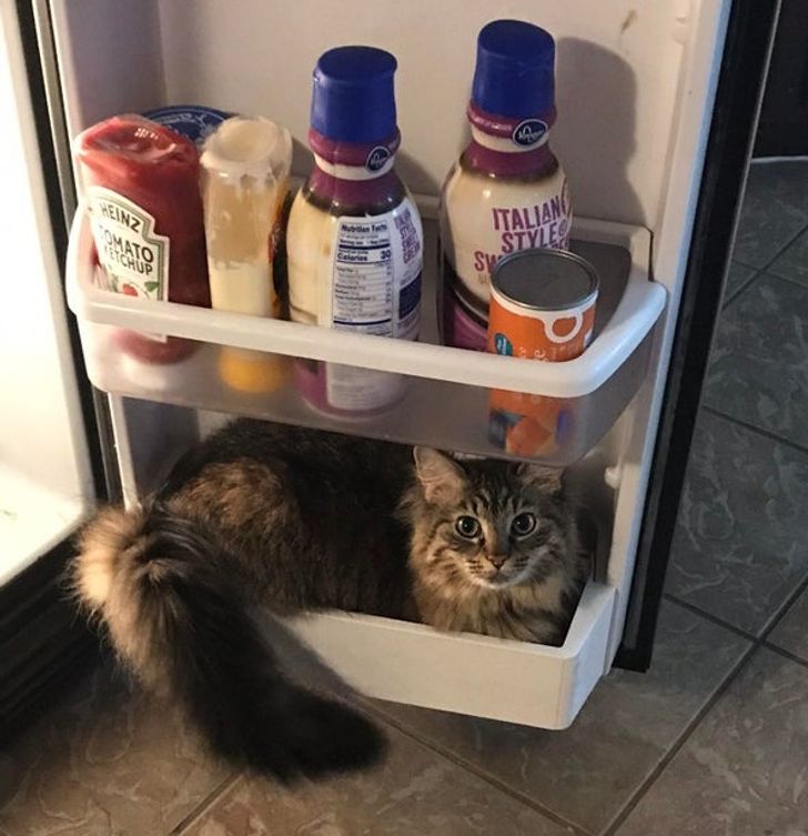 87a2945708826f0bcde0bf017c