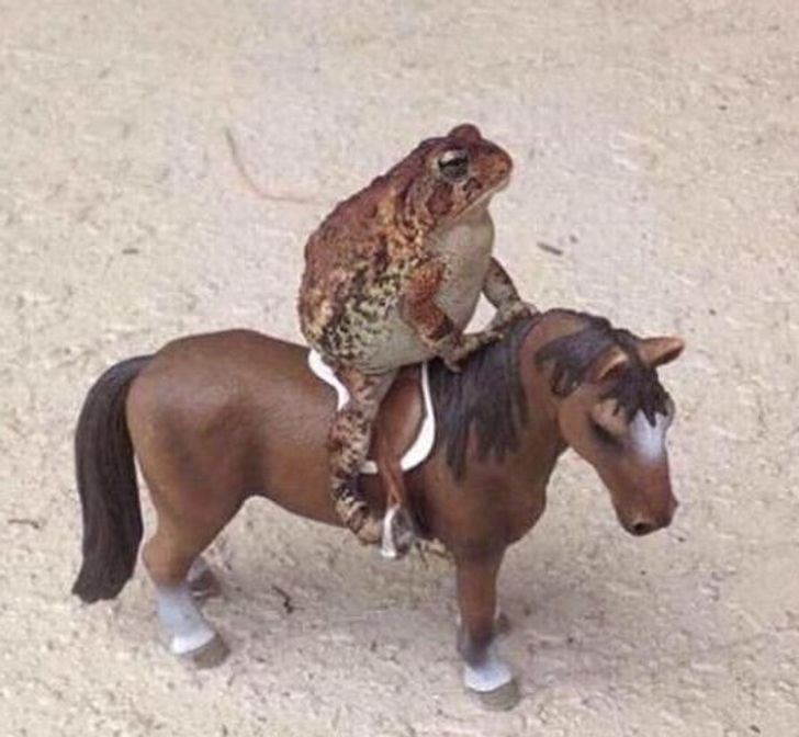 87a40c57fcae65e0d0339a50a6