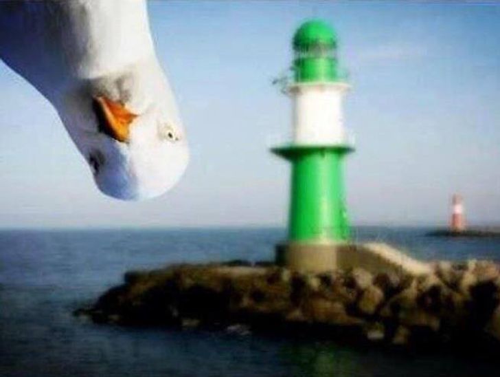 87aabe5e158703b5e30ecc319c