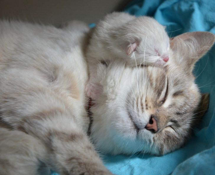 87b9165f2198fa1ec50657d3bd