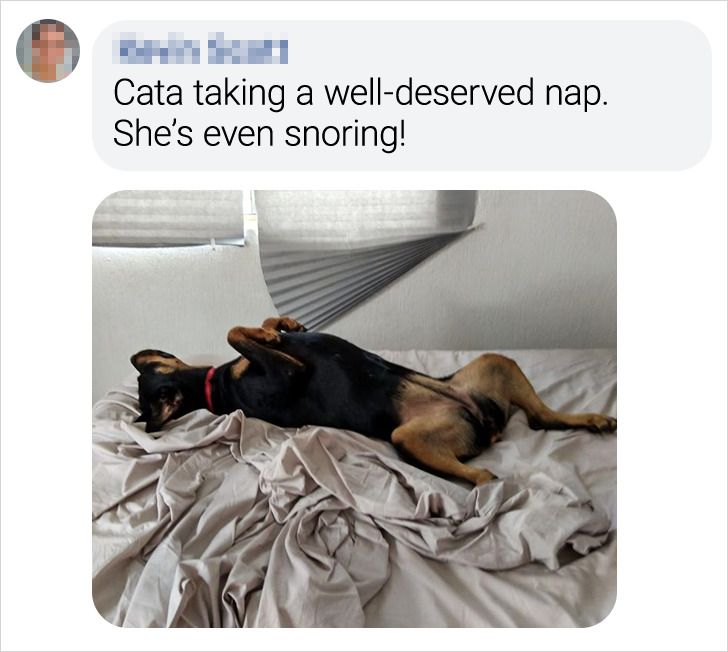 87bb095c5c90112193bd622c77