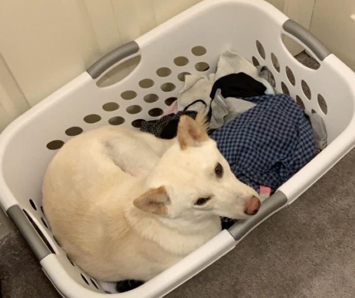 87bffa5b86958650cbc9042043