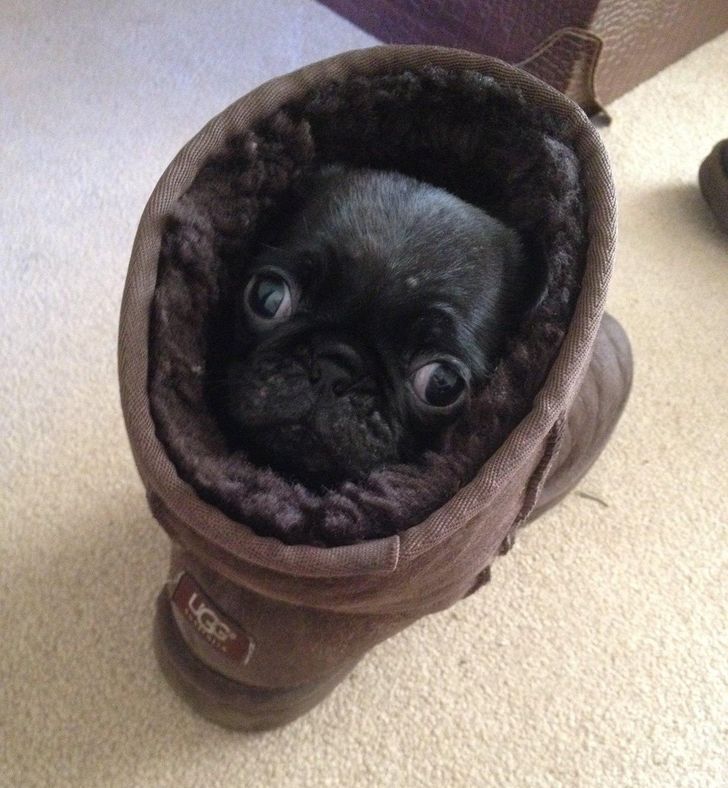 87c1325132b24ade2620be5a09