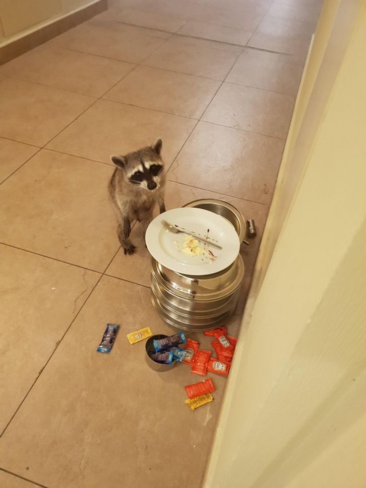 87c40a54c6a40357c11ad197a3