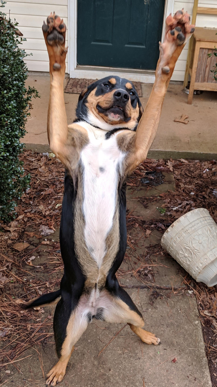 87c5fe544cb44fdc7a8ef1d968 87c5fe544cb44fdc7a8ef1d968