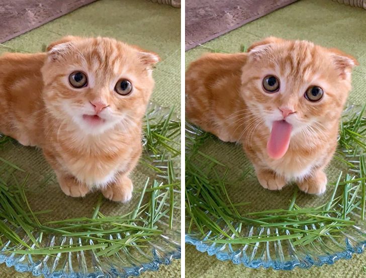 87d1495c93bc18f87a70561cf6