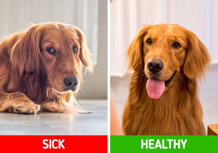 87d972580682b9750687900690