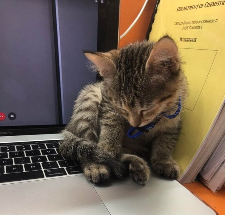 87dd255e9791e6e739d030f880