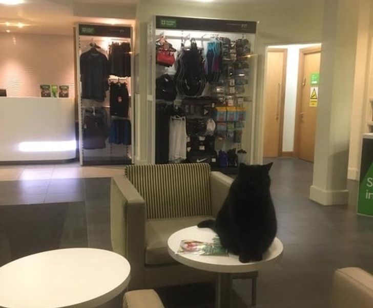 87e169563582a7a4f040f70e98