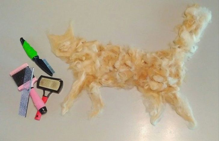 87e6945839a0dc0e19abd5203d