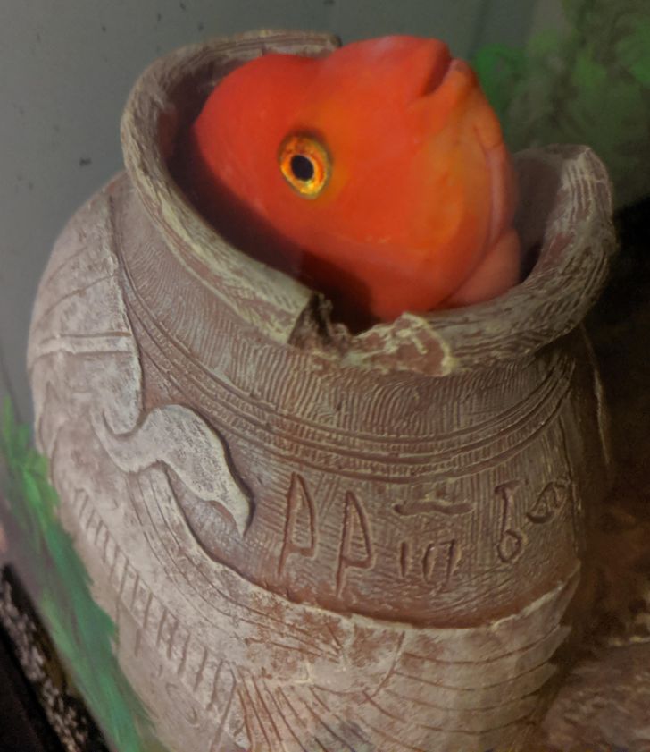 87eb8d53c69af757a1f7d7c751 87eb8d53c69af757a1f7d7c751