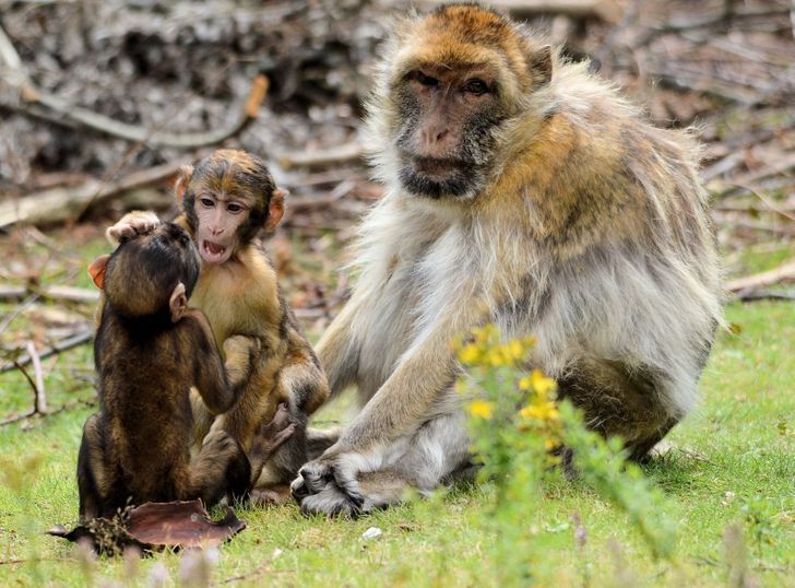 87f0565daba156deac0c475263