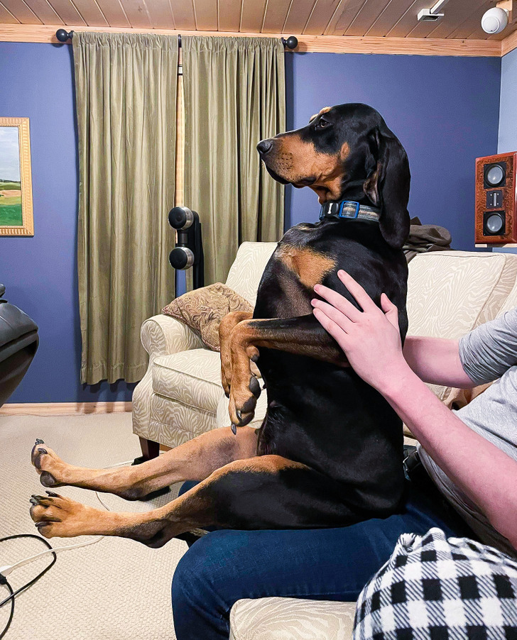 87f60c59a2b51d00ffdfcf2cb1 87f60c59a2b51d00ffdfcf2cb1