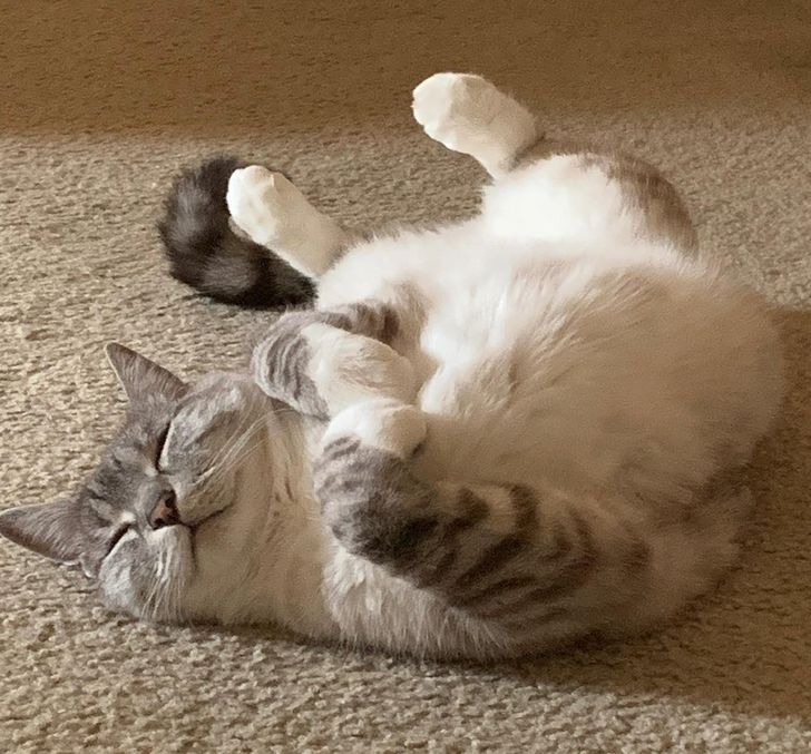 87f6fb55b2bc9abda5e8b22d5a