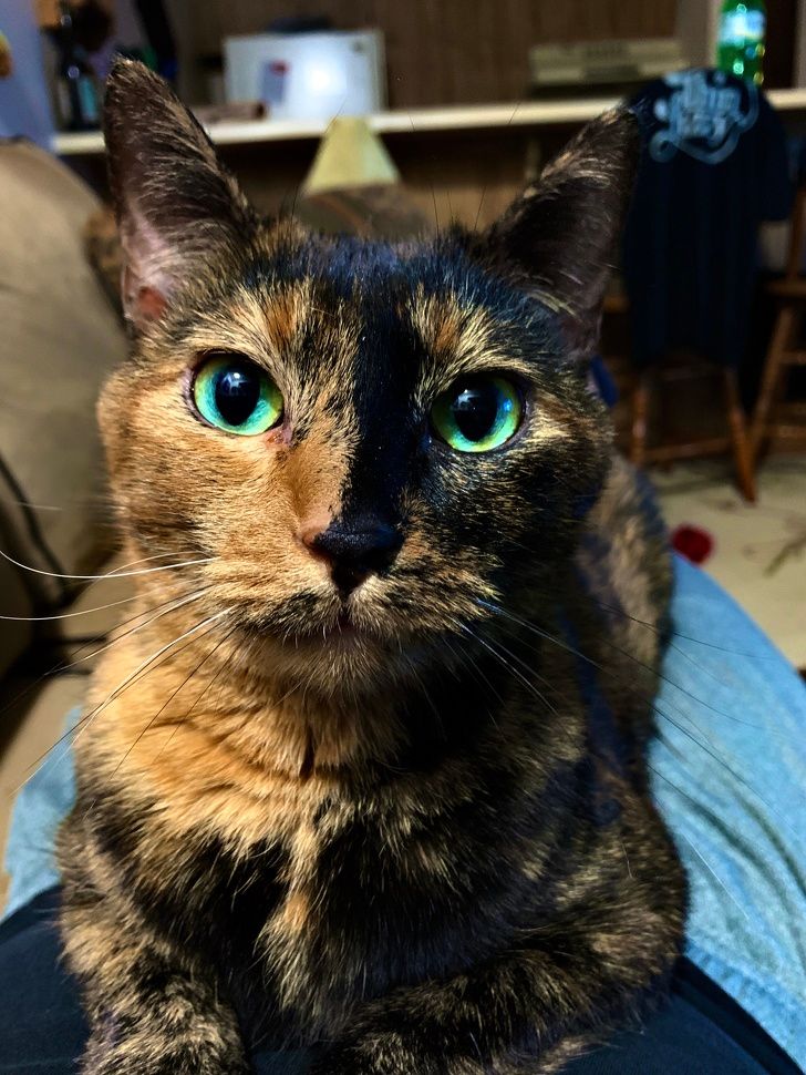 87f9bf5b4cb6dcdaf3077aa4e6