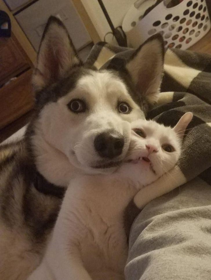 87f9db5b5b8da03232d0e72997