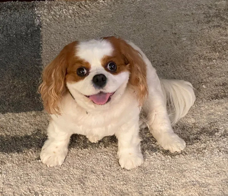 87fb1d5aa2bcceb14880c8d817 87fb1d5aa2bcceb14880c8d817