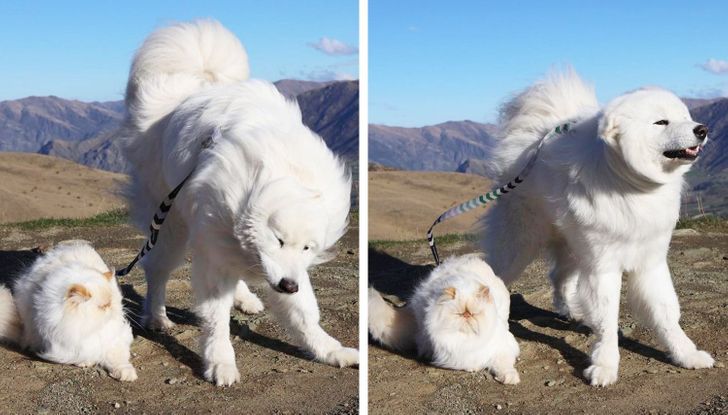 87fb585b80aa6c1ed318f28a6f