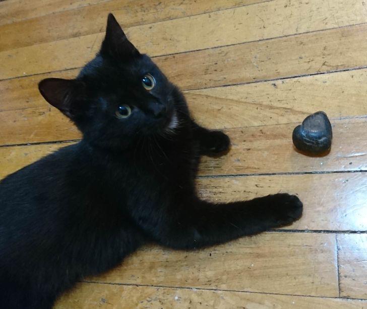 8800d85b149fd0f5efcfee7163