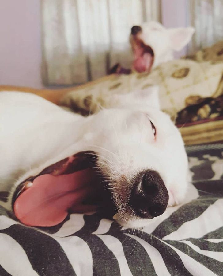 88049256408faca35978dc1c07